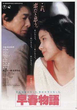 我妈妈的朋友电影海报